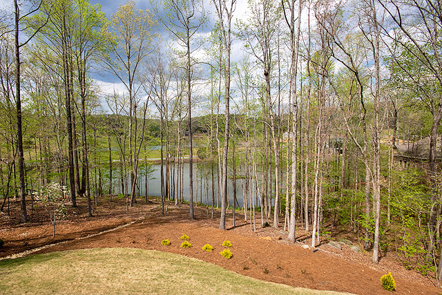 waterfront homes Lumpkin County